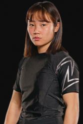 Luping Wang