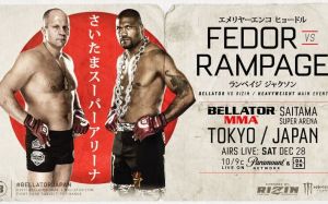 Файткард турнира Bellator 237: Федор Емельяненко - Куинтон Джексон