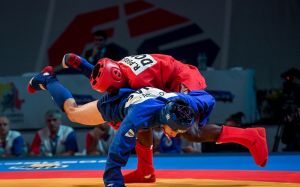 Финалы чемпионата мира по боевому самбо 2018