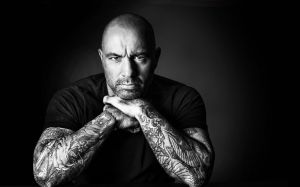 Джо Роган рассказал, почему он перестал комментировать турниры UFC on Fox