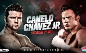 БК Fightnews.info. Тур 15. 6-7 мая 2017