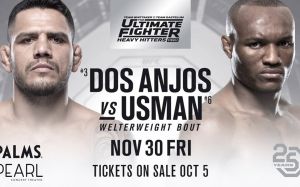 РП ММА №37: UFC The Ultimate Fighter 28 Finale Дос Аньос vs. Усман