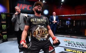 Рейтинг бойцов UFC за декабрь 2020 года