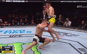 Видео боя Марчин Хелд - Дамир Хадзович UFC Fight Night 109