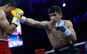В WBC определят обязательного претендента для победителя боя Вальдес – Стивенсон