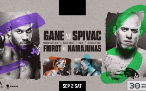 Результаты турнира UFC Fight Night 226