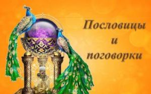 Боксерские пословицы и поговорки : )