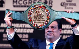 Глава WBC объяснил пользу франчайзингового чемпионства