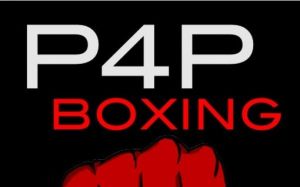 TOP-10 P4P по версии FIGHTNEWS.INFO [голосование январь 2017 г. ]