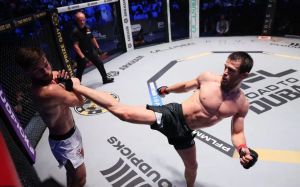 Усман Нурмагомедов "задушил" Алфи Дэвиса в главном событии турнира PFL Dubai