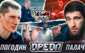 Top Dog FC 20. Смотреть онлайн прямой эфир