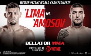 Файткард турнира Bellator 260