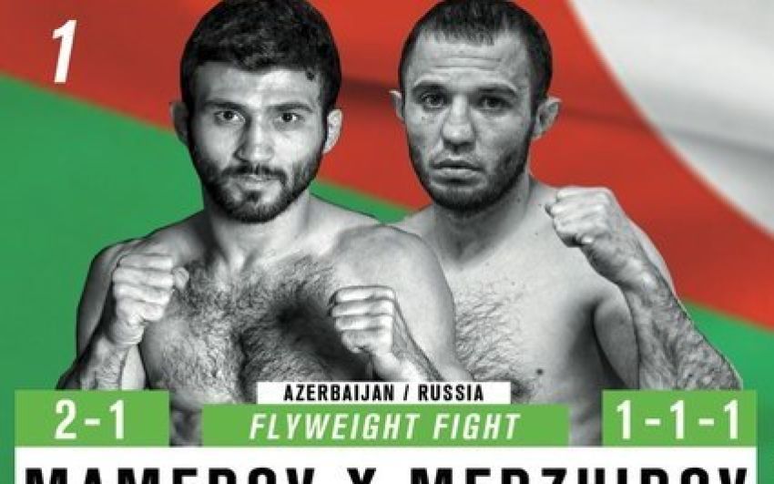 Видео боя: WFCA 48. Мехман Мамедов vs. Абдулхаким Меджидов