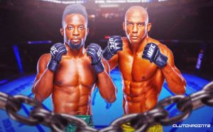UFC Fight Night 230. Смотреть онлайн прямой эфир