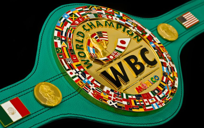 WBC запретил чемпионам и бойцам из топ-15 участвовать в Олимпиаде