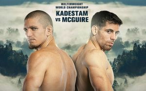 One Championship Warrior's Dream: Себастьян Кадестам нокаутировал Тайлера Магуайра