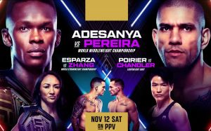 Файткард турнира UFC 281