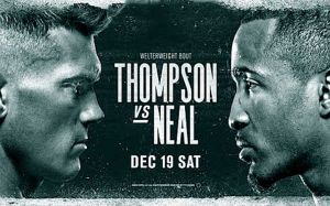 Прямая трансляция UFC Fight Night 183: Стивен Томпсон - Джефф Нил