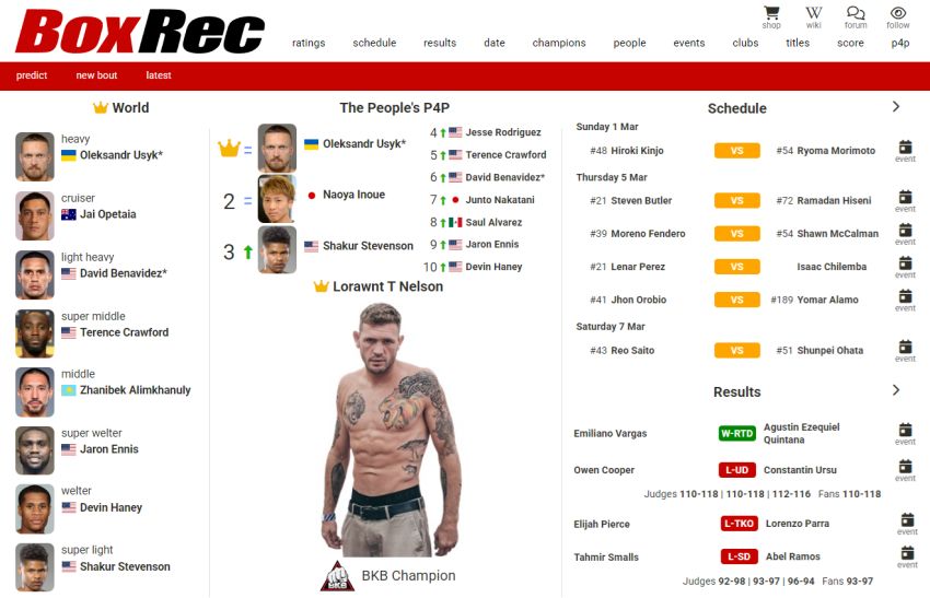 BoxRec 3.0 - Взгляд изнутри. (Часть 3) Инструкция по применению