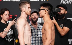 UFC Fight Night 210. Смотреть онлайн прямой эфир