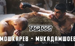 Видео боя Якин "TJ” Мукадамшоев - Иван "Охранник" Мошкарев TDFC 7