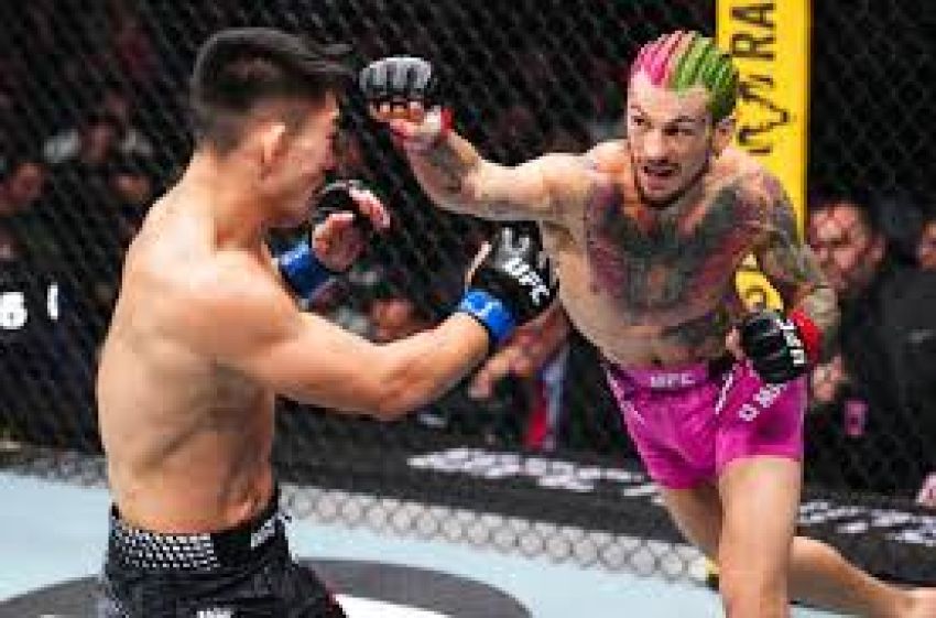 Шон О’Мэлли одержал непростую победу над Сонгом Ядонгом на UFC 324