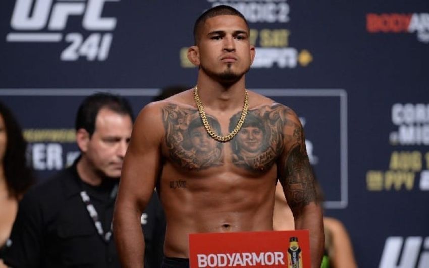 Энтони Петтис: "Меня не увольняли из UFC"