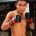 Reydemtor Nacionales (The Steel)
