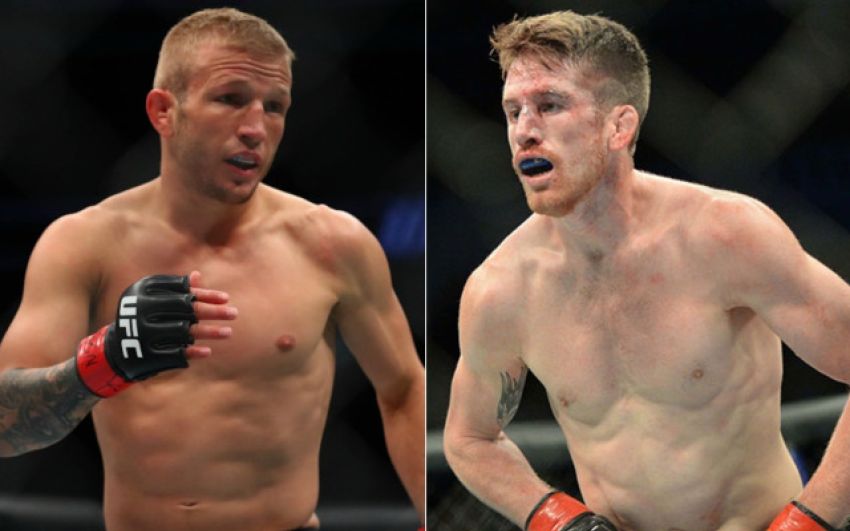 Ставки на UFC on ESPN 27: Коэффициенты букмекеров на турнир Ти Джей Диллашоу - Кори Сандхаген