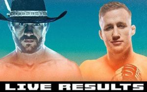 Результаты турнира UFC Fight Night 158: Дональд Серроне - Джастин Гэтжи