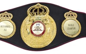 Дортикос выставит титул регулярного чемпиона WBA на бой с Кудряшовым