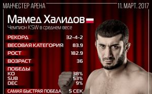 Инфографика Мамеда Халидова 