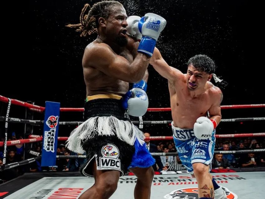 Лестер Мартинес одолел Имманувеля Алима и стал временным чемпионом WBC