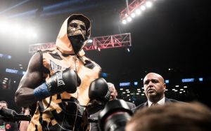 Эдди Хирн: "WBC должен санкционировать бой Уайлдер - Уайт в этом году"