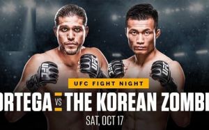 UFC Fight Night 180. Смотреть онлайн прямой эфир