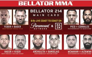 РП ММА №2 (BELLATOR 214): 27 января