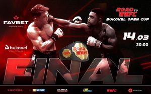 Прямая трансляция финала Road to WWFC Bukovel Open Cup: Артур Стахнюк – Анатолий Журакивский
