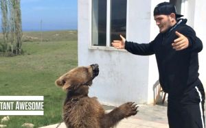 Хабиб о переходе Конора в легкий вес