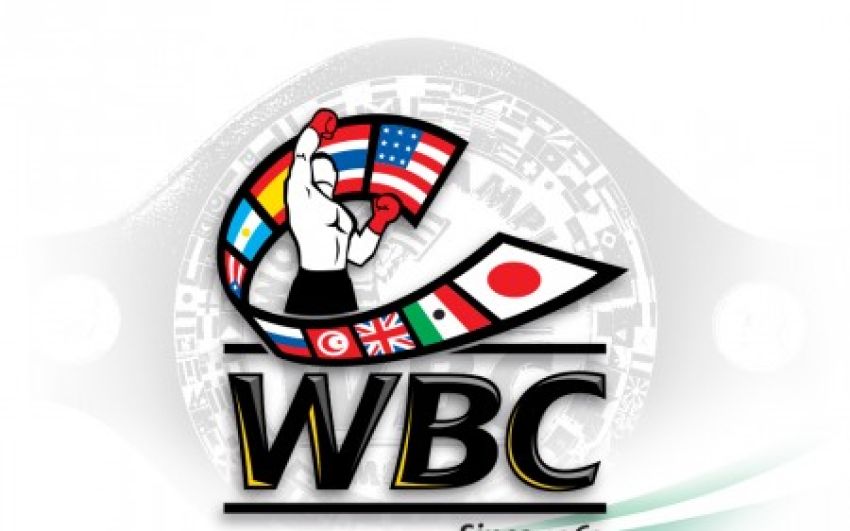 WBC: Исследование пробы Поветкина продолжается, решение будет позже