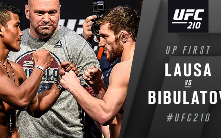 Видео боя Магомед Бибулатов - Дженел Лауса UFC 210