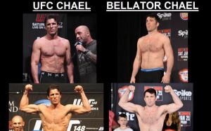 Чейл Соннен в UFC и Bellator