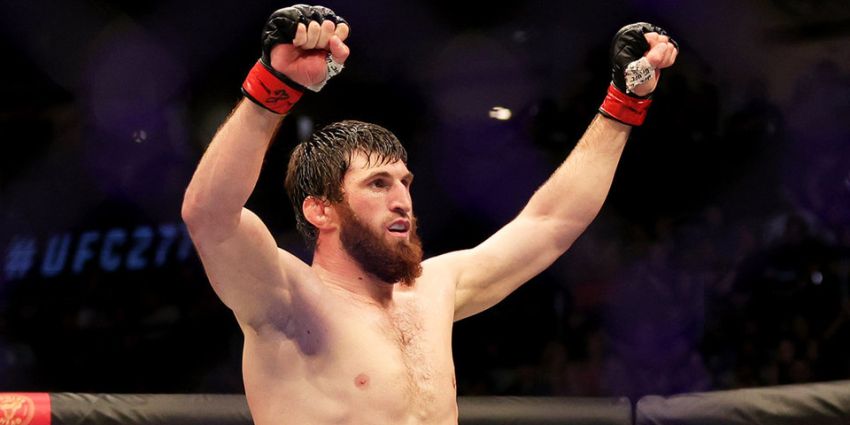 Тренер Анкалаева: "Мы останемся в UFC и заберем свое"