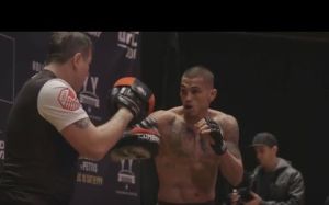Открытая тренировка перед UFC 206