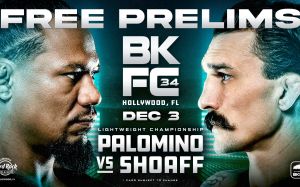 Прямая трансляция BKFC 34