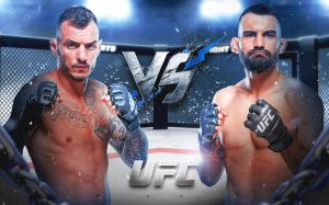 UFC Fight Night 243. Смотреть онлайн прямой эфир