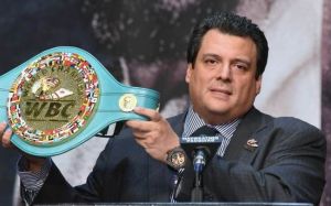 Президент WBC официально анонсировал создание новой весовой категории для небольших супертяжеловесов