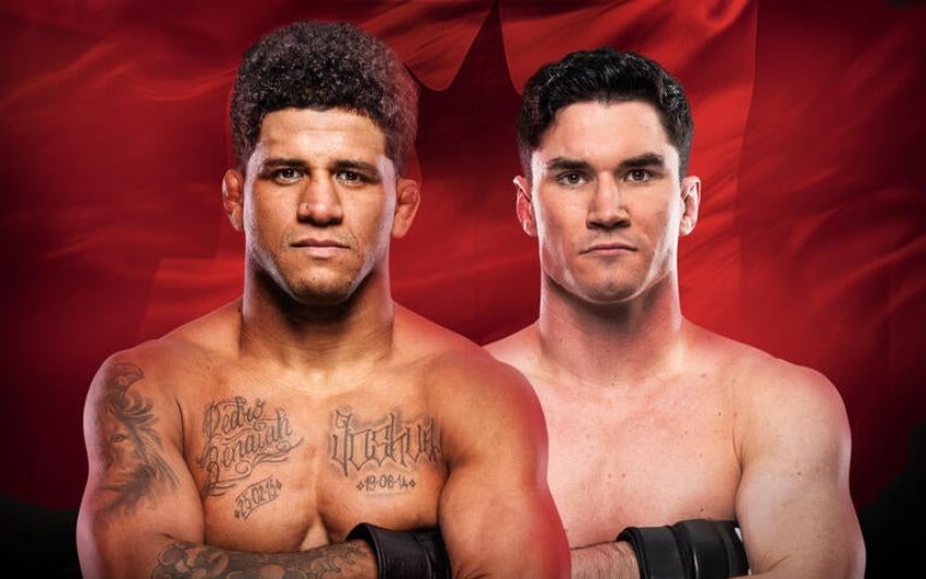 UFC Fight Night 273. Смотреть онлайн прямой эфир