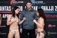 Видео боя Лена Овчинникова - Хеллен Харпер Bellator 177