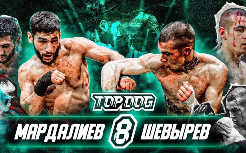 Видео боя Алисафа Мардалиев - Валерий Шевырев TDFC 8