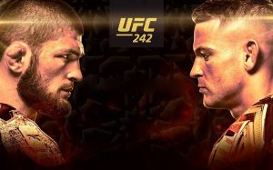 Букмекерские ставки на UFC 242: Коэффициенты на турнир Хабиб Нурмагомедов - Дастин Порье